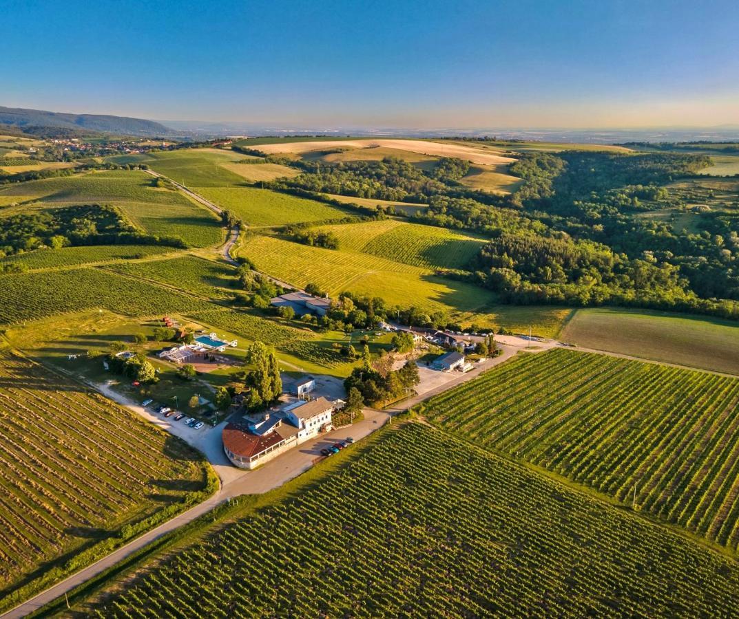 Hilltop Borbirtok&Étterem Hotell Neszmély Eksteriør bilde