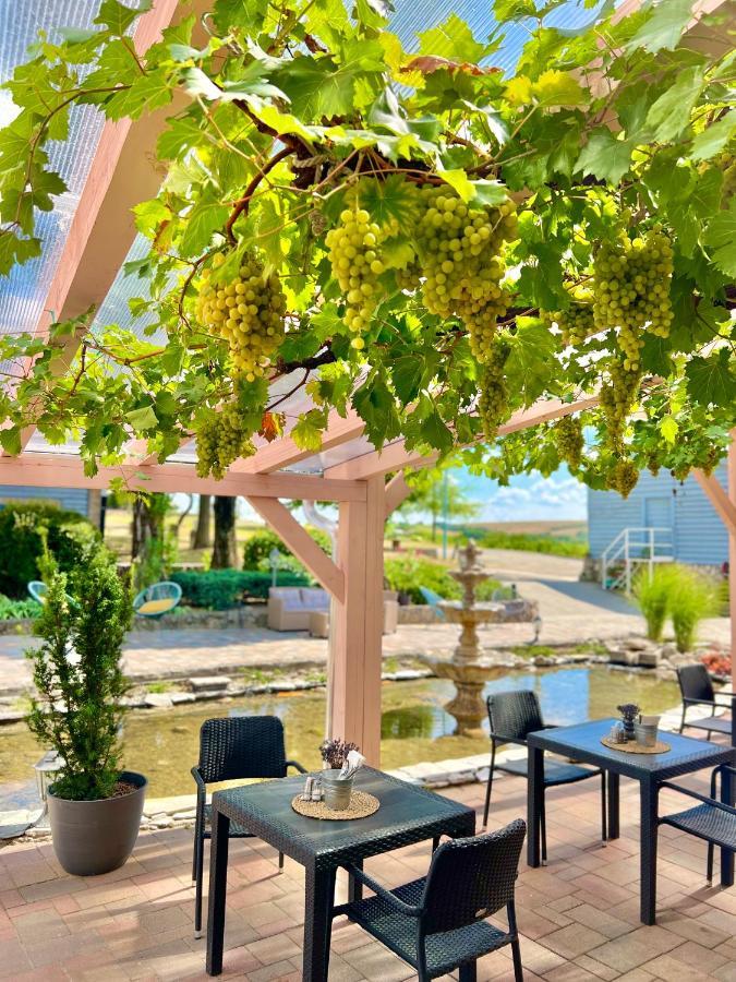 Hilltop Borbirtok&Étterem Hotell Neszmély Eksteriør bilde