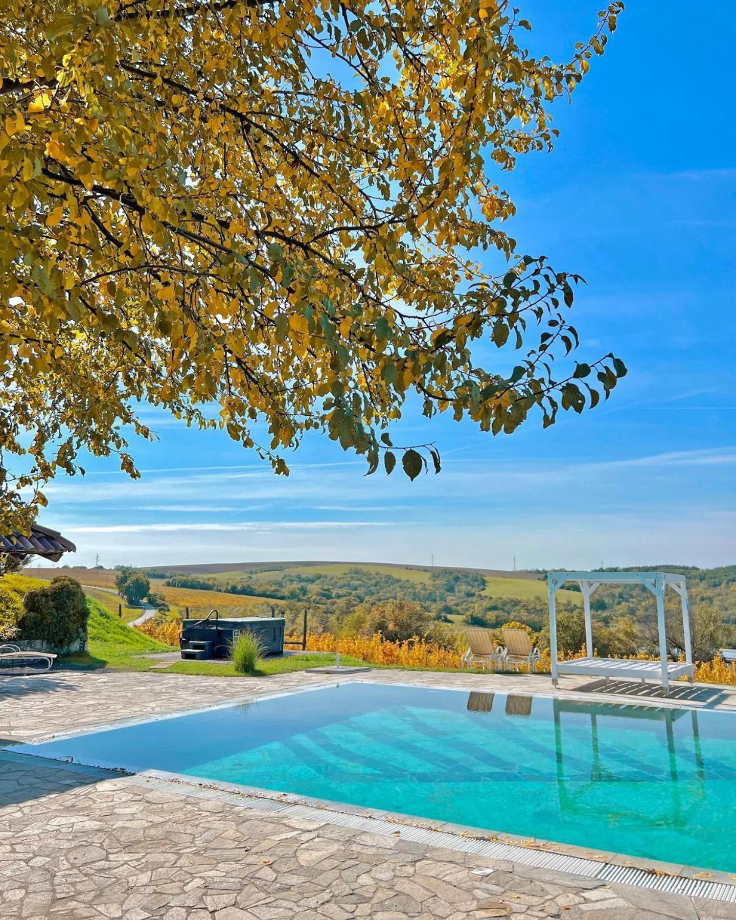 Hilltop Borbirtok&Étterem Hotell Neszmély Eksteriør bilde